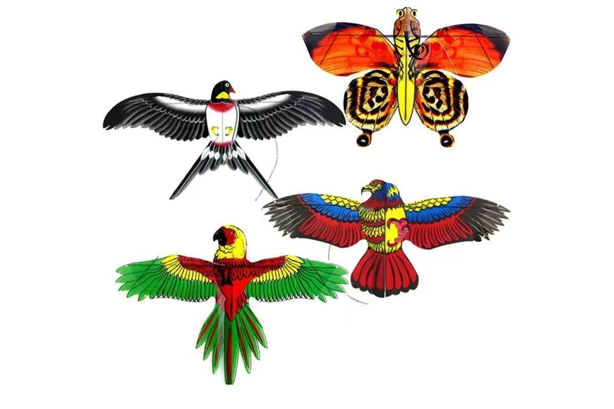 product-1200-800