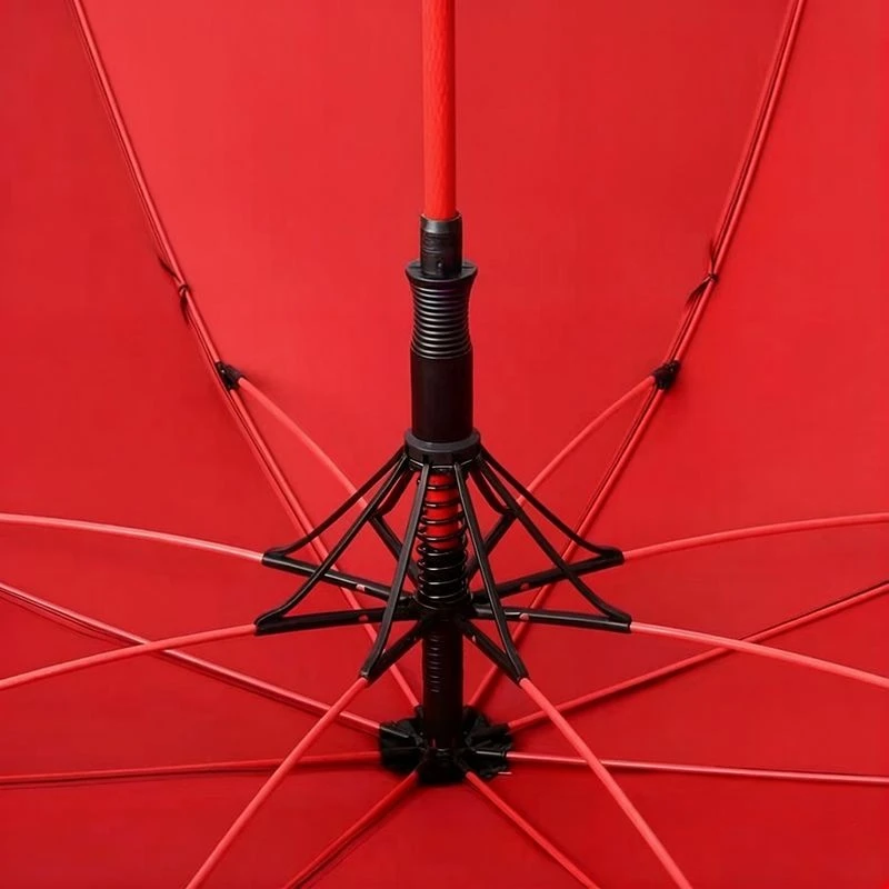 Ribs Of An Umbrella