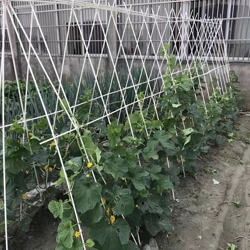 Small Plant Support Stakes