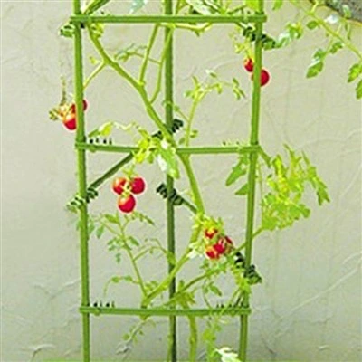 Plant Sticks To Hold Up Plants