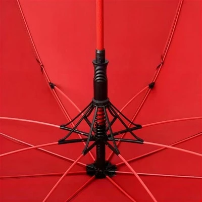 Ribs Of An Umbrella