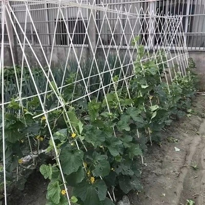 Small Plant Support Stakes