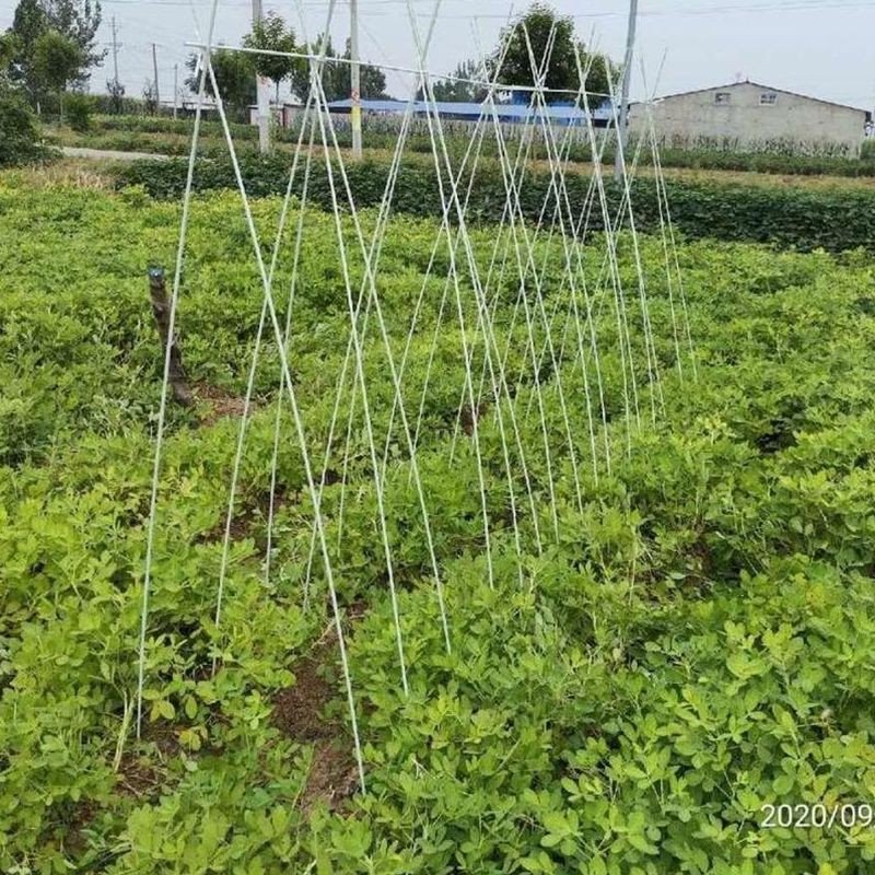 Vegetable Seedling Shed Support Rods